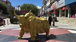 A yak statue on the business street in Lhasa. Stock Footage