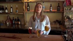 Williamsburg staple known for craft beer shutting down for good News Clip