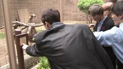 Members of K-pop group NCT 127 visit the LA Zoo to meet a pudu named Haechan Instructional Video