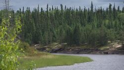 Bloodvein First Nation puts up signs to deter outsiders from hunting on its land News Clip
