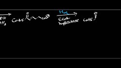 Adipate Catabolism Instructional Video