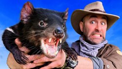 Don't Try this with a Devil! Instructional Video