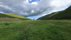 Young fitness woman trail runner running on grassland Stock Footage