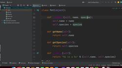 PEP8 Guidelines Python Clean Coding - Functions, Methods, and Instance Variables Instructional Video