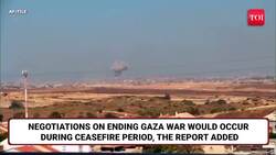 Big Gaza Ceasefire ANNOUNCEMENT By Trump? U.S. President's Huge Update, Israel 'AGREES' TO Truce News Clip