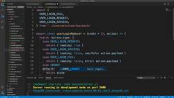 User Login Reducer and Action Instructional Video