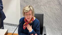 Spruce Lake expansion opponents finish making case to council News Clip