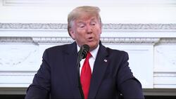 Trump comments on European trade and virus Instructional Video