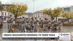 France Inaugurates Memorial To 'Hero Dogs' News Clip