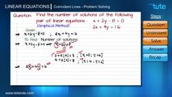Problem Solving with Graphical Method for Coincident Pair of Linear Equations Instructional Video