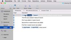 Complete Git Guide: Understand and Master Git and GitHub - Exploring Graphs and Commits in SourceTree Instructional Video