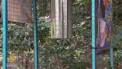 Outrage over wildlife agency's unethical tactics News Clip