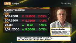 IFPR's Glauber on Food Security and Inflation News Clip