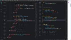 Frontend Web Development Bootcamp - Build a Twitter Clone - Create a Toggle Button Instructional Video