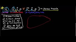 Ketone Body Introduction (Qualitative) Instructional Video