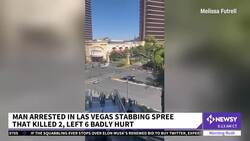 Suspect Arrested In Las Vegas Strip Stabbing Spree News Clip