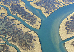 How Are Rivers Formed? Instructional Video