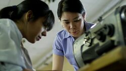 Seamstress Helping Colleague with Sewing Stock Footage