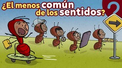 ¿Qué tan común es el sentido común? Instructional Video