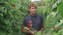 NFU want the government to support more home grown food in the national diet News Clip