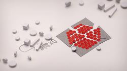 TED-Ed: Can you solve the honeybee riddle? | Dan Finkel Instructional Video