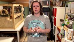 Irish charity hopes to encourage responsible hamster ownership News Clip