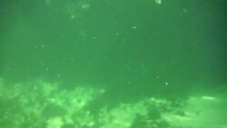 Underwater at Cenote in the Yucatán Peninsula, Mexico Stock Footage