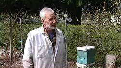 Foundations of Beekeeping: Essential Tips and Tools for New Beekeepers Instructional Video