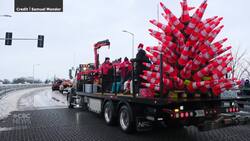 Is this the most Montreal Christmas tree ever? News Clip