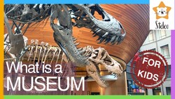 What is a Museum? Instructional Video