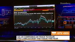 Lazard's Singhal on ESG Investing News Clip
