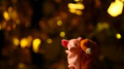 Finger toy animals Theatre hd footage Stock Footage