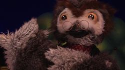 Owl's Fascinating Facts: Dolphin Sleep Instructional Video