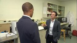 Scientists develop patch to detect meat contaminated with E. coli News Clip