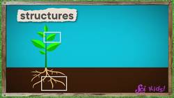 Why Are Foods Many Colors? | The Science of Colors! | SciShow Kids Instructional Video