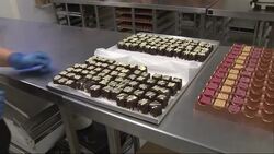 Chocolate and Fudge Making factory News Clip