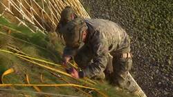 US rangers scale cliffs to honour D-day mission Instructional Video