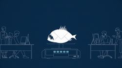 Introducing Phish Scale - Rating Human Phishing Detection Difficulty Instructional Video