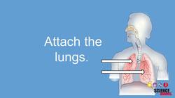 Explore How We Breathe Instructional Video