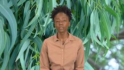 Koalas: The Sleepy Eucalyptus Eaters Instructional Video