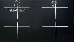 Global QE without the Fed Instructional Video