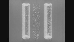 1950s: Two Illustrated columns Stock Footage