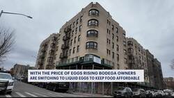 Bodega owners switching to liquid eggs to keep prices down News Clip