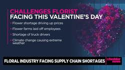 Florists Prepare as Valentine's Day Falls on Worst Day for Industry News Clip