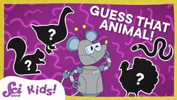 Can You Guess These Fall Animals with Jessi and Sam? | SciShow Kids Compilation Instructional Video