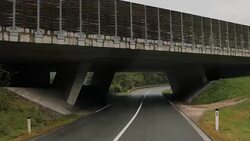 Driving on the highway in nature under the bridge Stock Footage