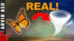 What Is the Butterfly Effect and How Might It Be Real? Instructional Video