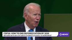 World Leaders Vow To End Deforestation By 2030 News Clip