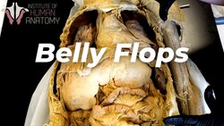 How Dangerous Are Belly Flops? Instructional Video