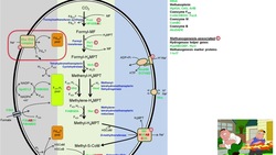 Methanogenesis: Intestinal Biosynthesis of Methane Instructional Video